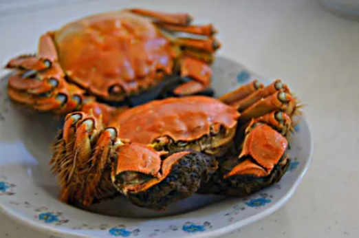 24小時之內死的螃蟹還能吃嗎4