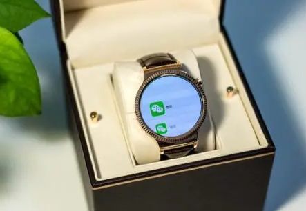 華為新款watch gt2能和蘋果手機連貫嗎1