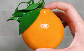 洗澡時可以吃橘子嗎